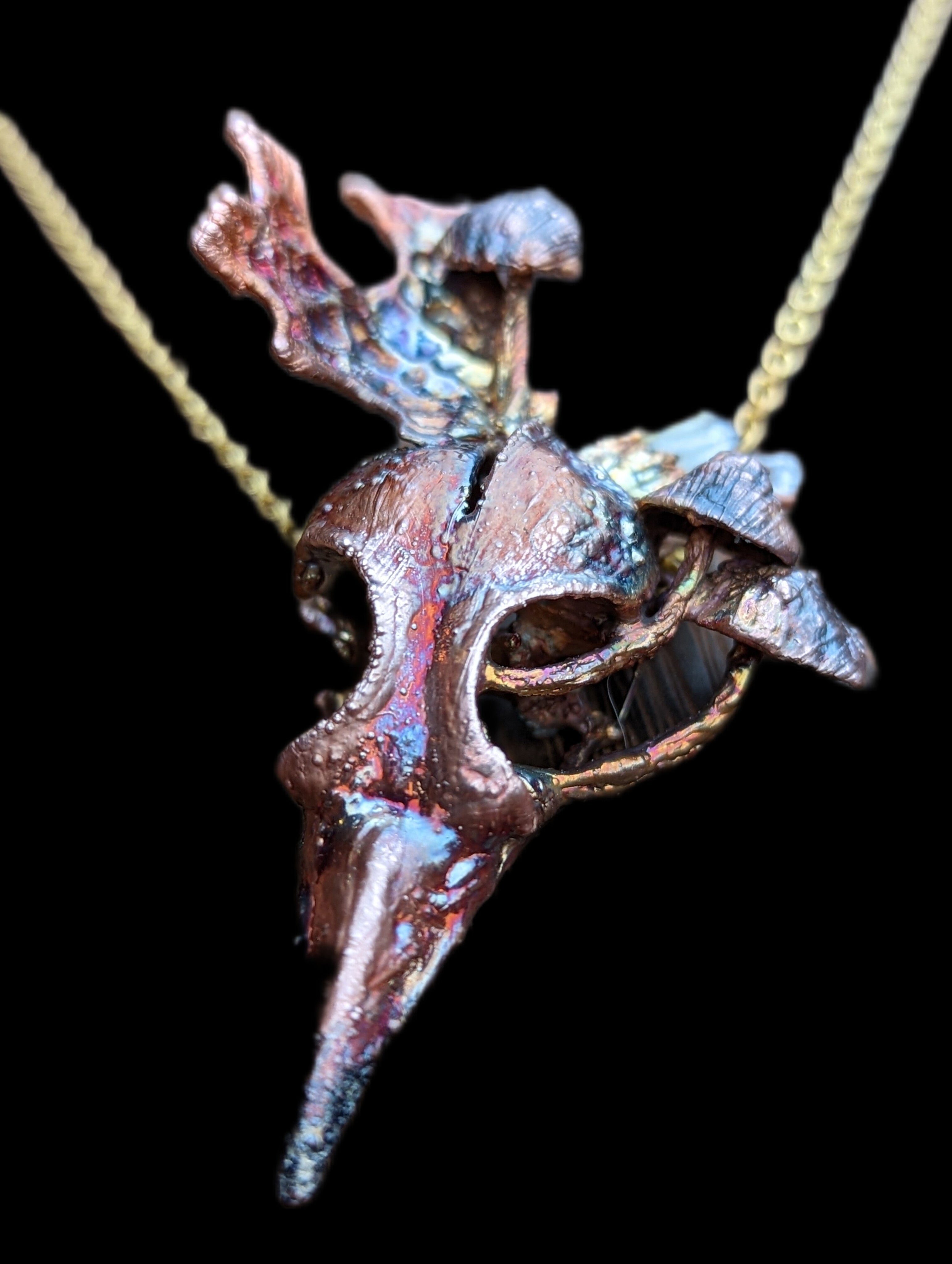 Starling Skull with fungi, quartz & lichen