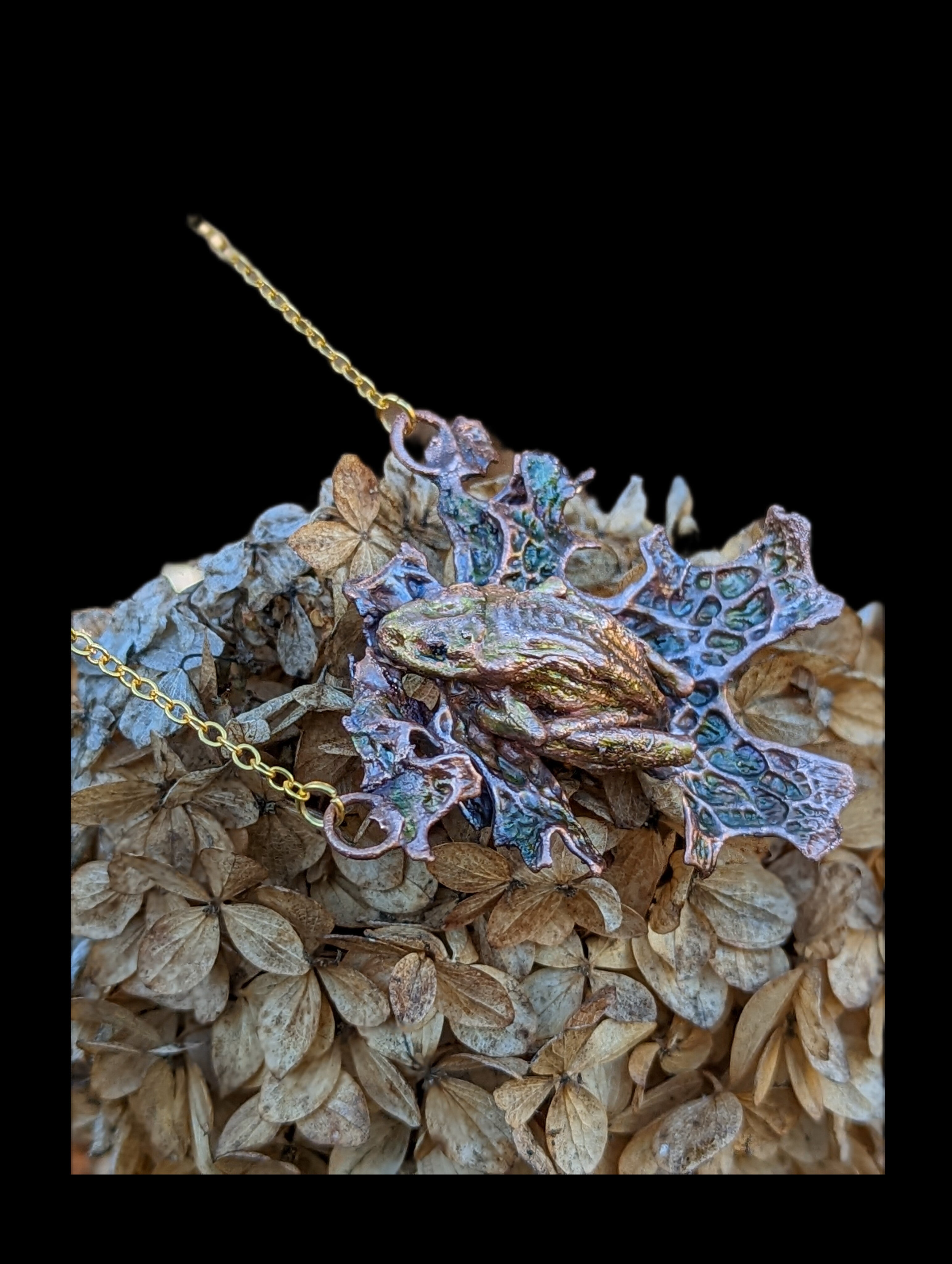 Tree frog on Tree lung lichen